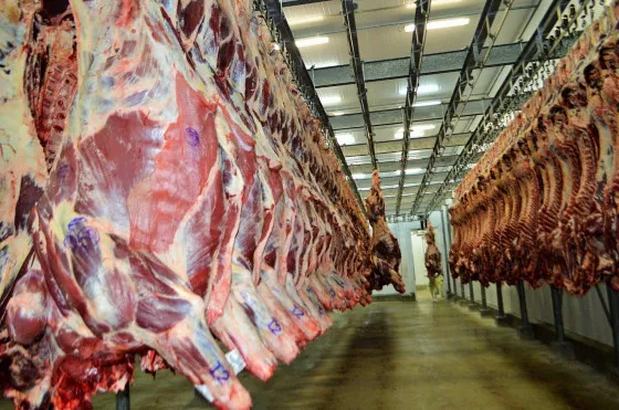 Alta no preço da carne persiste e atinge novo recorde em Mato Grosso Pressionados pela oferta limitada e pela demanda crescente, preços alcançam patamares históricos e impacto no bolso do consumidor é inevitável.