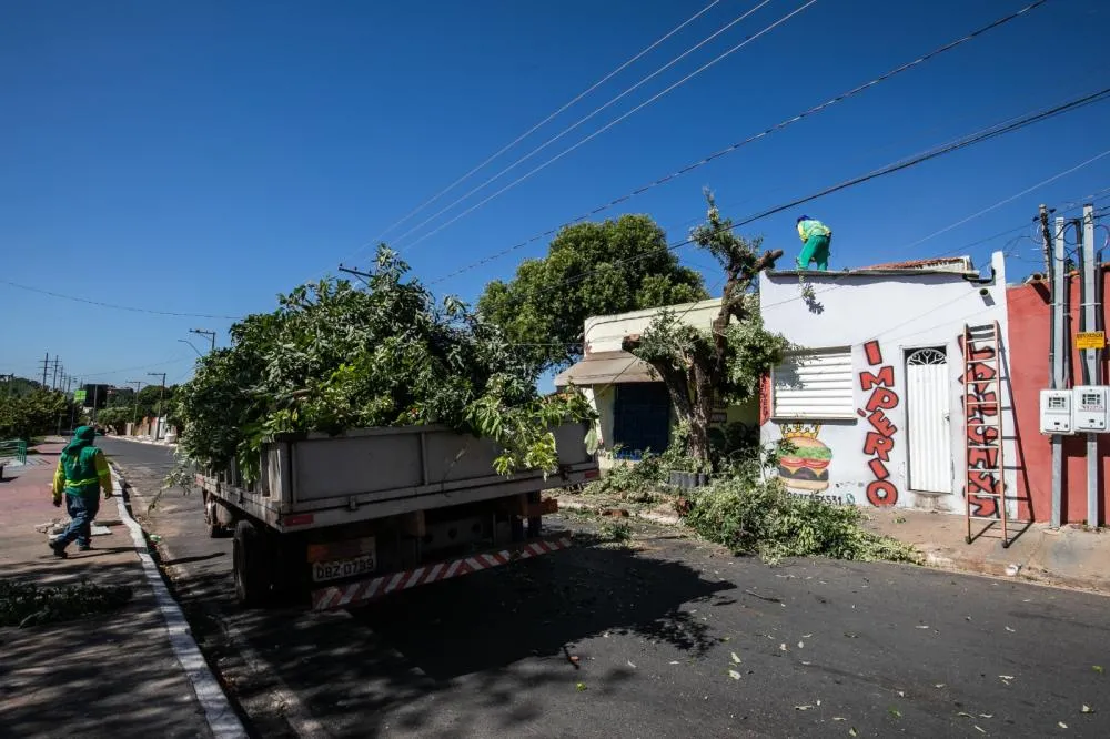 Limpurb atende avenidas, praças e parques através do mutirão de limpeza nesta sexta-feira (24)