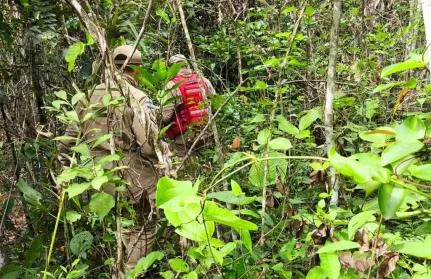 Vídeo - Avião cai em MT; bombeiros fazem buscas no local