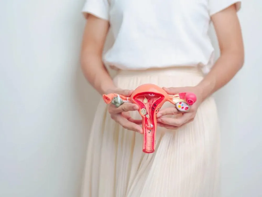 SUS oferece novos tratamentos para pacientes com diagnóstico de endometriose. Entenda! Dispositivo Intrauterino Liberador de Levonogestrel (DIU-LNG) e o desogestrel são as novas opções de tratamentos