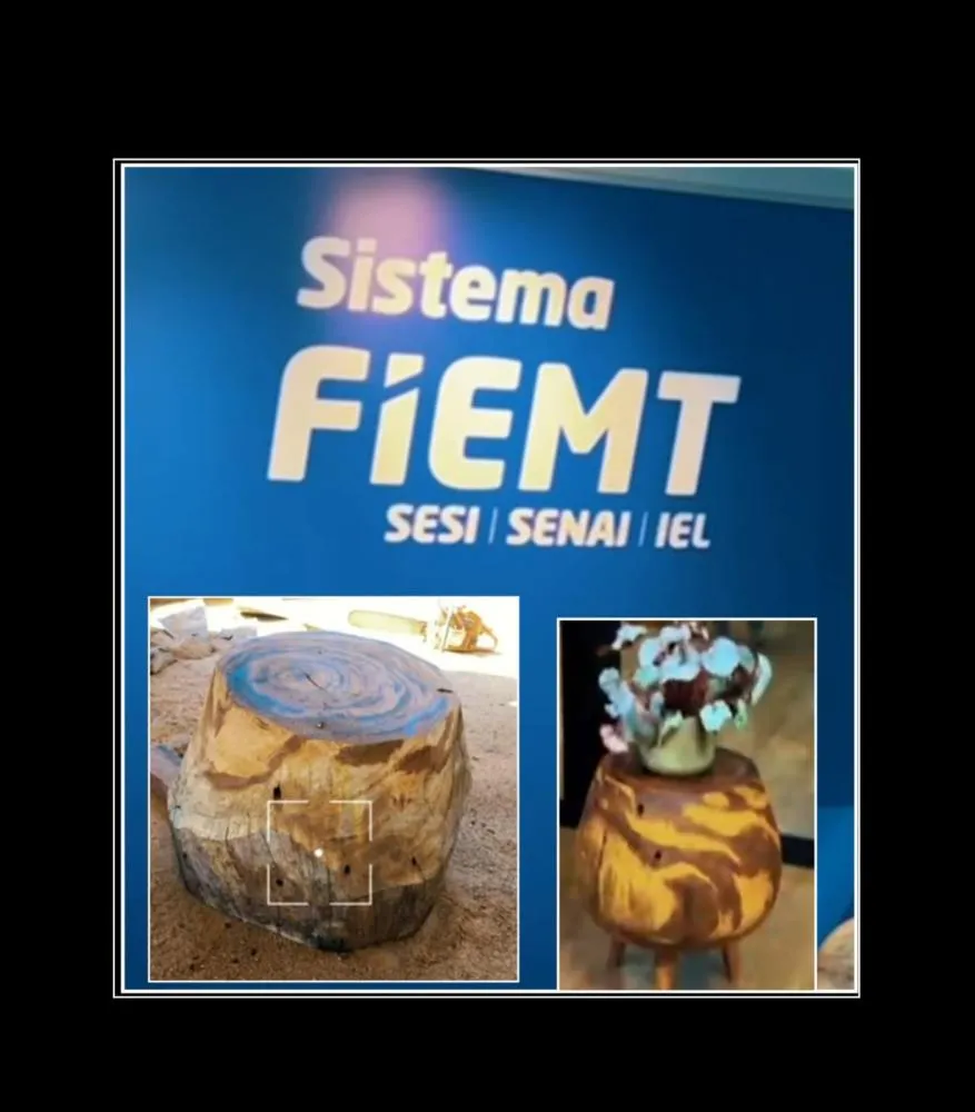 Biomê Móveis Orgânicos, peças com histórias de bom gosto!