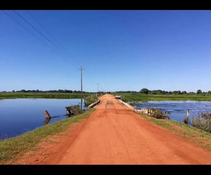 Coluna Anamaria: Conexão MT | RN por Anamaria Bianchini: O Pantanal que o mundo precisa conhecer: A alma de Mato Grosso!
