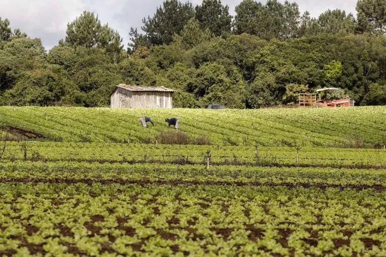 Projeto prevê validação automática do Cadastro Ambiental Rural para pequenas propriedades 