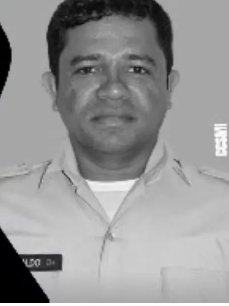 Sargento encontrado morto havia sido atacado por enxame de abelhas