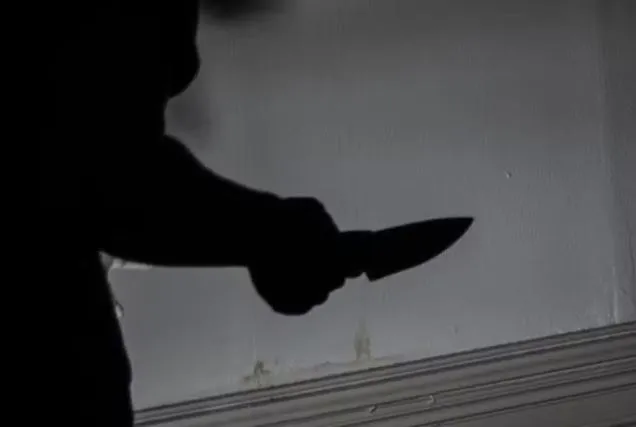 Em depoimento aos policiais, a mulher disse que esfaqueou o marido após ser agredida por ele — Foto: Pixabay/Imagem ilustrativa
