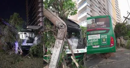 Ônibus perde o controle, invade canteiro e 'quebra' poste; 163 casas estão sem luz