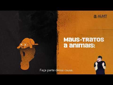 Campanha 